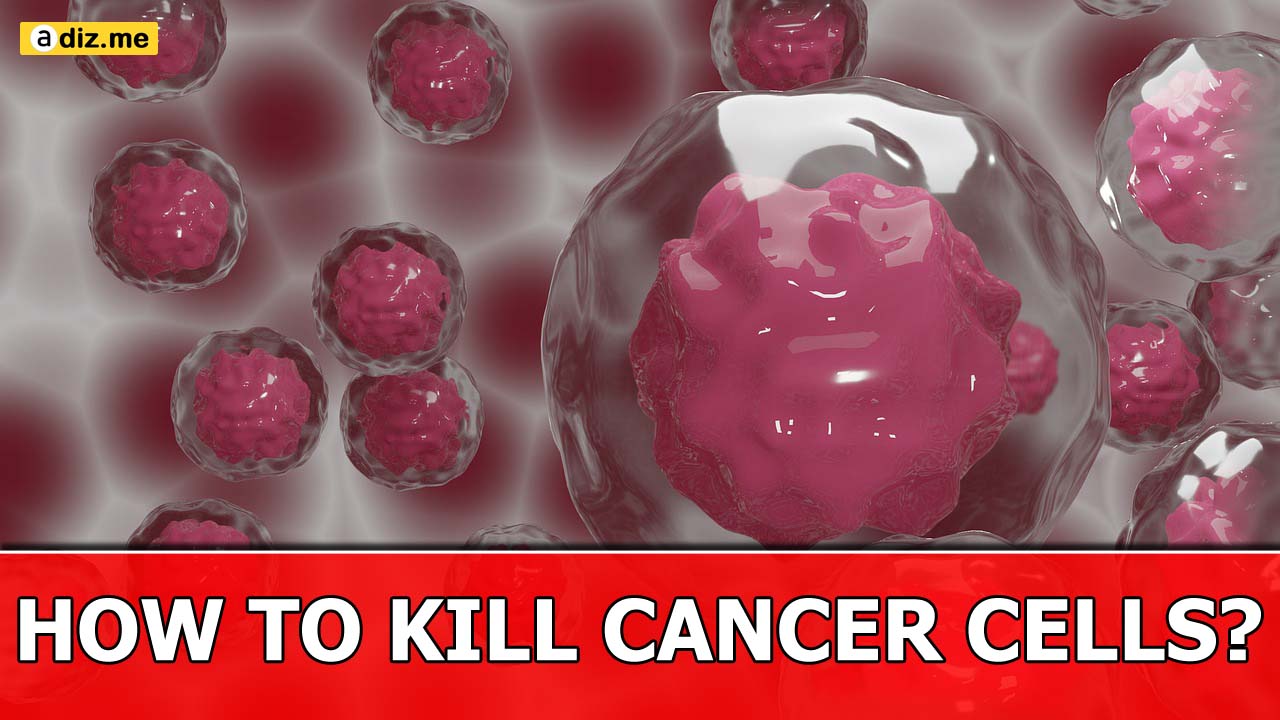 HOW TO KILL CANCER CELLS?